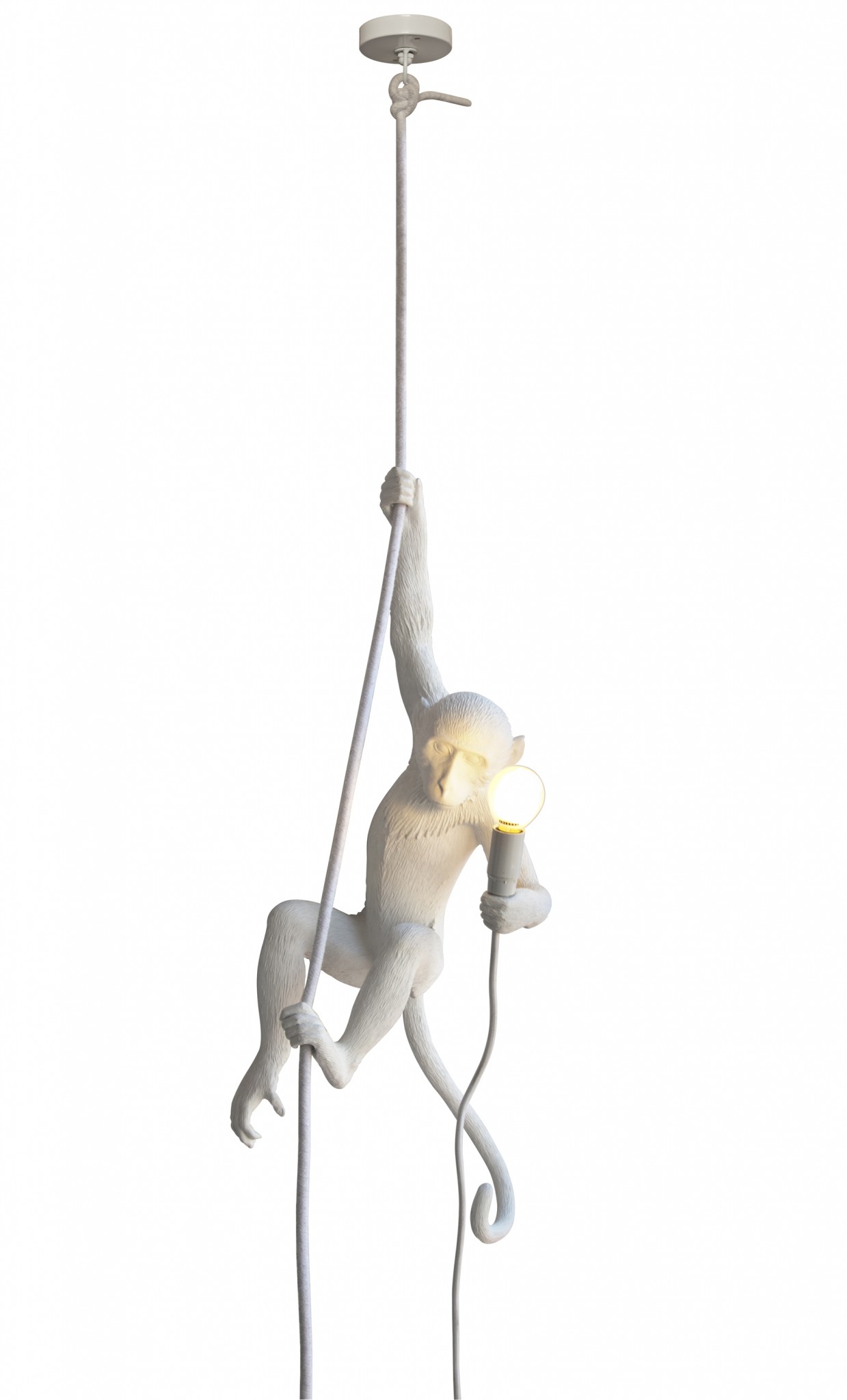 the monkey lamp seletti