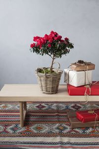 Jul_MG_azalea_07