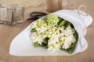 Jul_MG_svibel_22