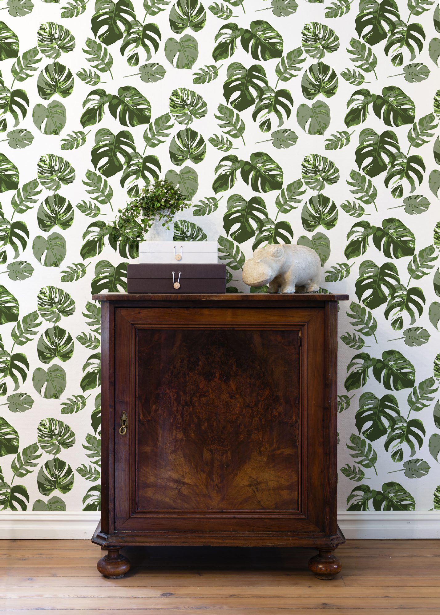 Monstera plante grønn trend